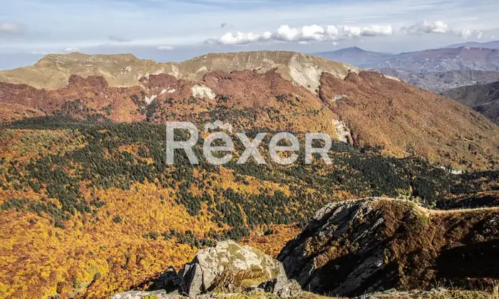 Rexer-Giarola-LEccellenza-dellOspitalit-Autentica-nellAppennino-Reggiano-Altro