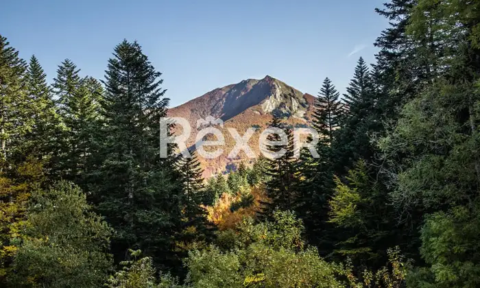 Rexer-Giarola-LEccellenza-dellOspitalit-Autentica-nellAppennino-Reggiano-Altro