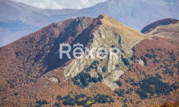 Rexer-Giarola-LEccellenza-dellOspitalit-Autentica-nellAppennino-Reggiano-Altro