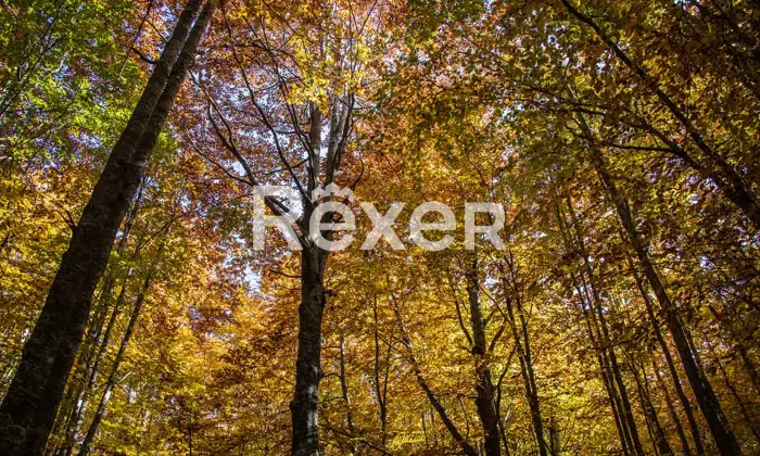 Rexer-Giarola-LEccellenza-dellOspitalit-Autentica-nellAppennino-Reggiano-Altro