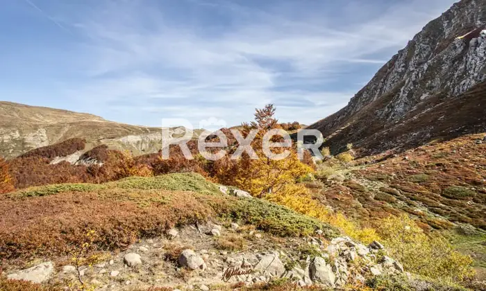 Rexer-Giarola-LEccellenza-dellOspitalit-Autentica-nellAppennino-Reggiano-Altro