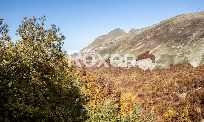 Rexer-Giarola-LEccellenza-dellOspitalit-Autentica-nellAppennino-Reggiano-Altro