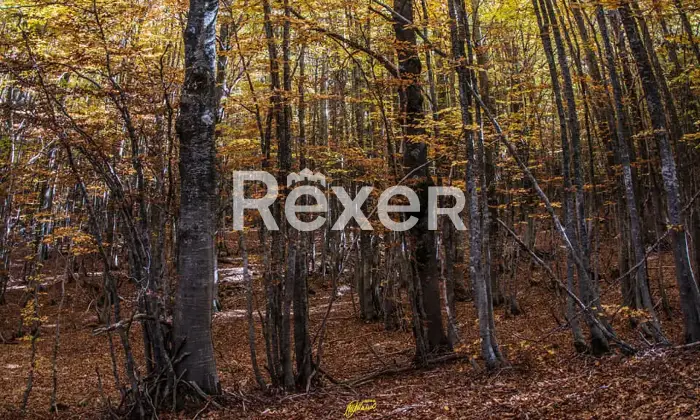 Rexer-Giarola-LEccellenza-dellOspitalit-Autentica-nellAppennino-Reggiano-Altro