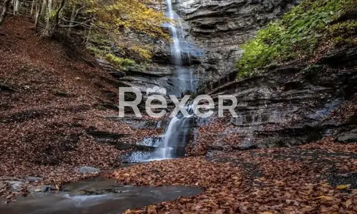 Rexer-Giarola-LEccellenza-dellOspitalit-Autentica-nellAppennino-Reggiano-Altro
