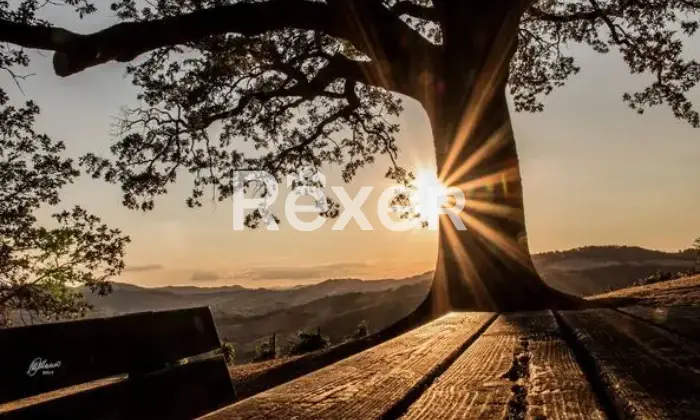 Rexer-Giarola-LEccellenza-dellOspitalit-Autentica-nellAppennino-Reggiano-Altro