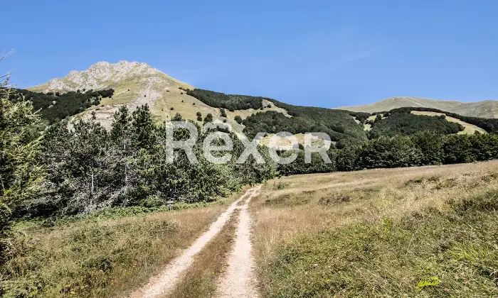 Rexer-Giarola-LEccellenza-dellOspitalit-Autentica-nellAppennino-Reggiano-Altro