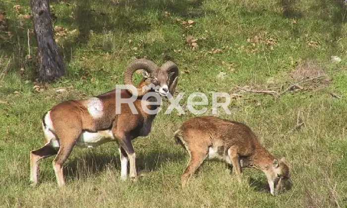 Rexer-Giarola-LEccellenza-dellOspitalit-Autentica-nellAppennino-Reggiano-Altro