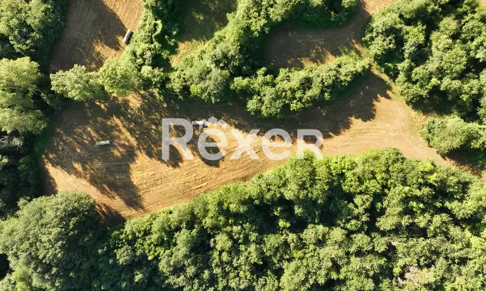 Rexer-Giarola-LEccellenza-dellOspitalit-Autentica-nellAppennino-Reggiano-Altro