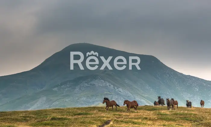 Rexer-Giarola-LEccellenza-dellOspitalit-Autentica-nellAppennino-Reggiano-Altro