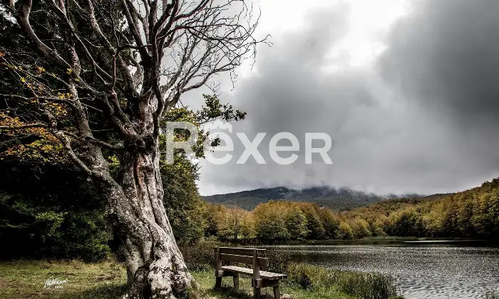Rexer-Giarola-LEccellenza-dellOspitalit-Autentica-nellAppennino-Reggiano-Altro