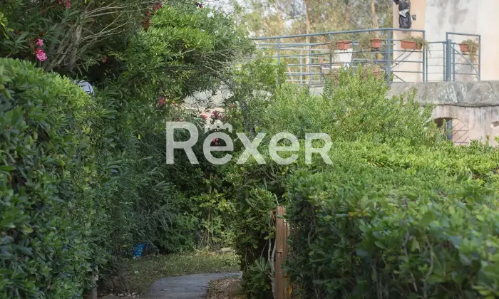 Rexer-Porto-Azzurro-PORTO-AZZURRO-LOCALITA-MOLA-Altro