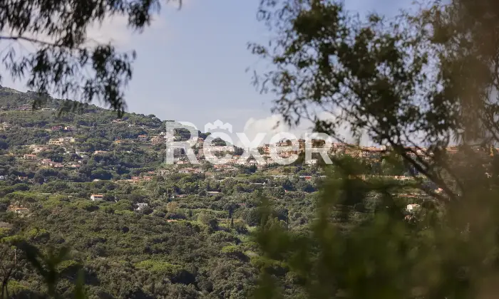 Rexer-Porto-Azzurro-PORTO-AZZURRO-LOCALITA-MOLA-Altro