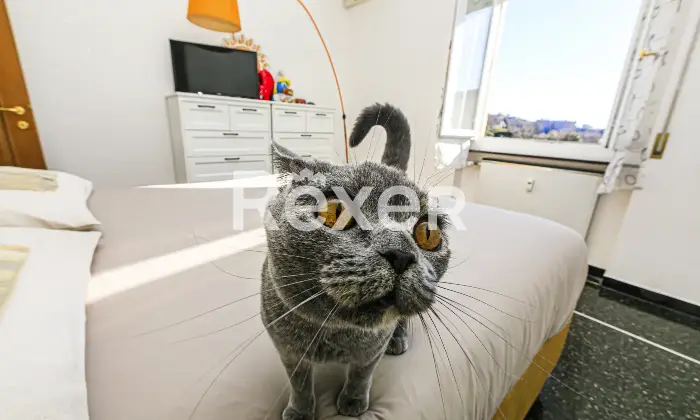 Rexer-Genova-Appartamento-piano-alto-con-posto-auto-Altro