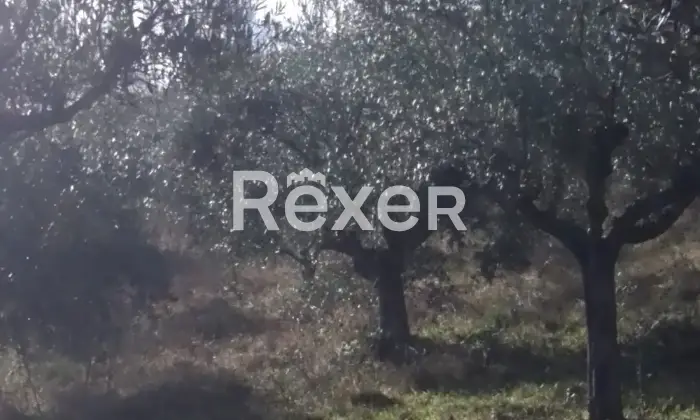 Rexer-Cellino-Attanasio-Terreno-agricolo-in-vendita-in-via-Fonte-Lucci-a-Cellino-Attanasio-Altro