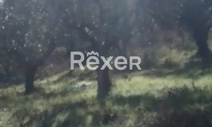 Rexer-Cellino-Attanasio-Terreno-agricolo-in-vendita-in-via-Fonte-Lucci-a-Cellino-Attanasio-Altro