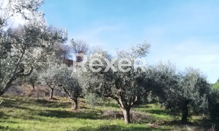 Rexer-Cellino-Attanasio-Terreno-agricolo-in-vendita-in-via-Fonte-Lucci-a-Cellino-Attanasio-Altro