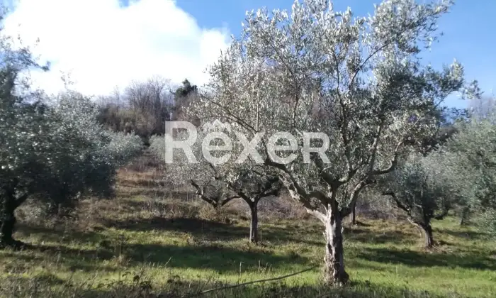 Rexer-Cellino-Attanasio-Terreno-agricolo-in-vendita-in-via-Fonte-Lucci-a-Cellino-Attanasio-Altro