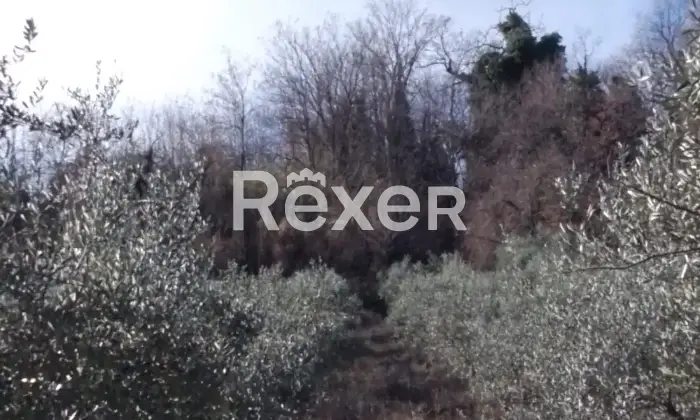 Rexer-Cellino-Attanasio-Terreno-agricolo-in-vendita-in-via-Fonte-Lucci-a-Cellino-Attanasio-Altro