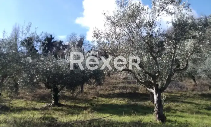 Rexer-Cellino-Attanasio-Terreno-agricolo-in-vendita-in-via-Fonte-Lucci-a-Cellino-Attanasio-Altro