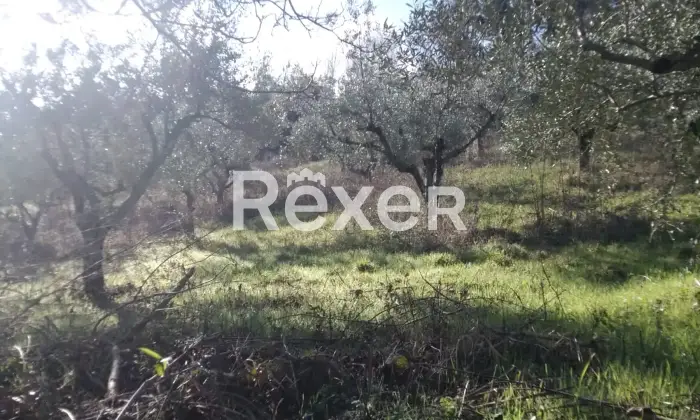 Rexer-Cellino-Attanasio-Terreno-agricolo-in-vendita-in-via-Fonte-Lucci-a-Cellino-Attanasio-Altro