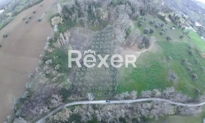 Rexer-Cellino-Attanasio-Terreno-agricolo-in-vendita-in-via-Fonte-Lucci-a-Cellino-Attanasio-Altro