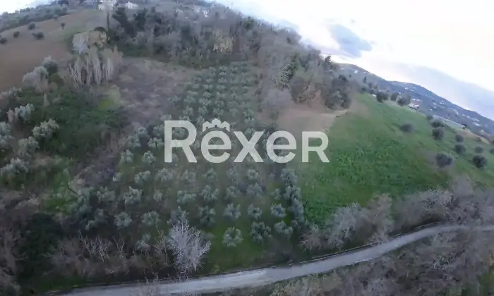 Rexer-Cellino-Attanasio-Terreno-agricolo-in-vendita-in-via-Fonte-Lucci-a-Cellino-Attanasio-Altro