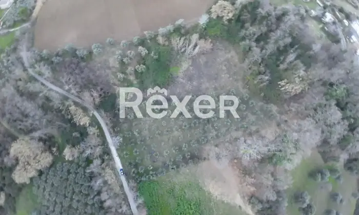 Rexer-Cellino-Attanasio-Terreno-agricolo-in-vendita-in-via-Fonte-Lucci-a-Cellino-Attanasio-Altro