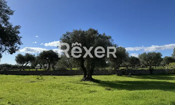 Rexer-Manfredonia-Ex-Convento-dei-Frati-Minori-Cappuccini-in-contrada-Calafico-Monte-SantAngelo-FG-Altro