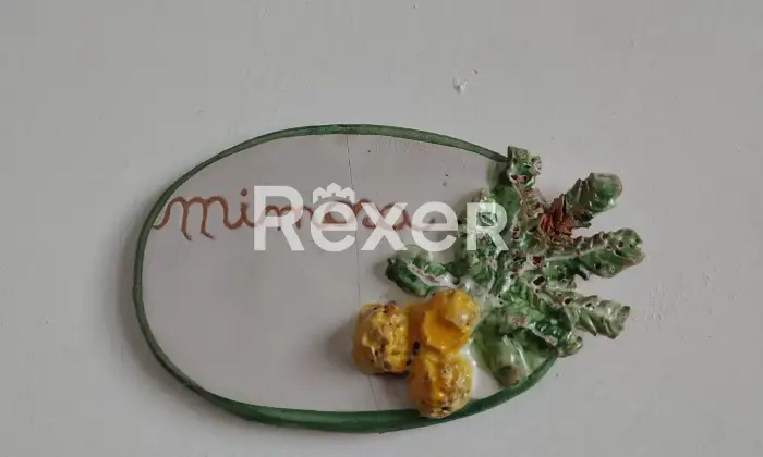 Rexer-Capistrano-Villa-indipendente-con-dependance-e-ampio-terreno-Altro