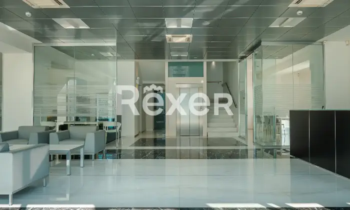 Rexer-Bussolengo-Capannone-artigianale-con-uffici-direzionali-a-Bussolengo-Altro