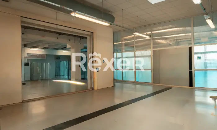 Rexer-Bussolengo-Capannone-artigianale-con-uffici-direzionali-a-Bussolengo-Altro