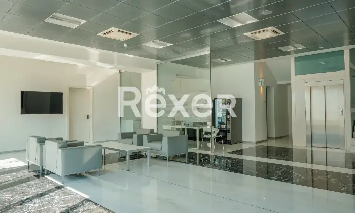 Rexer-Bussolengo-Capannone-artigianale-con-uffici-direzionali-a-Bussolengo-Altro