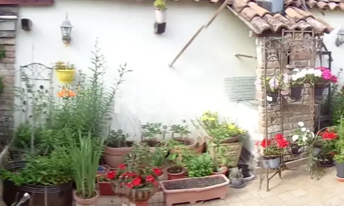 Rexer-Calendasco-Bar-Ristorante-in-vendita-in-Via-Giuseppe-Mazzini-a-Calendasco-Altro