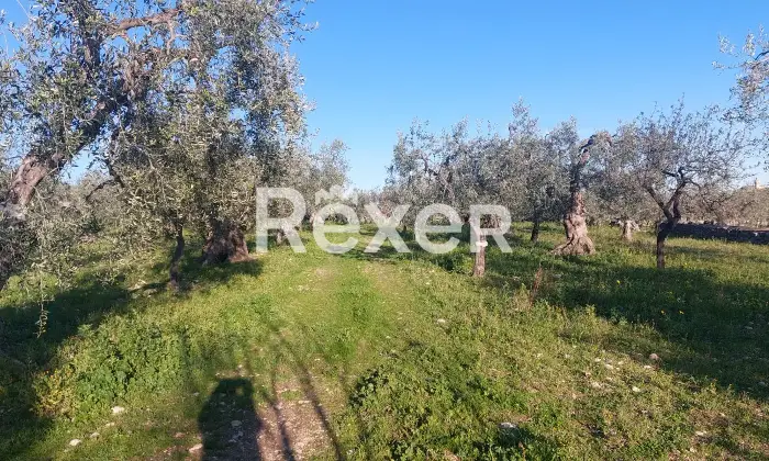 Rexer-Monte-SantAngelo-Terreno-in-vendita-in-Via-Tratturo-di-Foggiaa-Monte-SantAngelo-Altro