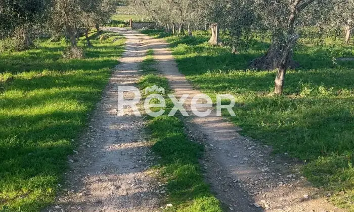 Rexer-Monte-SantAngelo-Terreno-in-vendita-in-Via-Tratturo-di-Foggiaa-Monte-SantAngelo-Altro