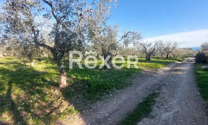 Rexer-Monte-SantAngelo-Terreno-in-vendita-in-Via-Tratturo-di-Foggiaa-Monte-SantAngelo-Altro