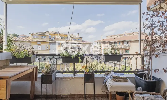 Rexer-Roma-Attico-originariamente-composto-da-due-appartamenti-Altro