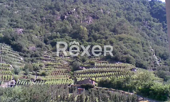 Rexer-Tirano-Casa-indipendente-in-vendita-in-via-Via-S-Rocco-a-Tirano-Altro