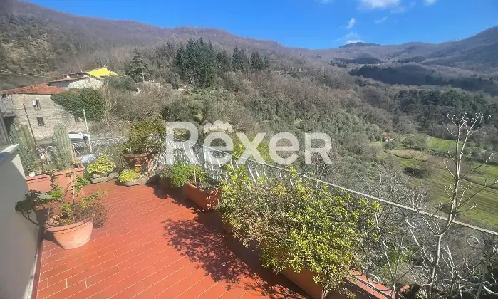 Rexer-Paretola-Casa-indipendente-di-mq-con-giardino-Via-Paretola-Paretola-MS-Altro