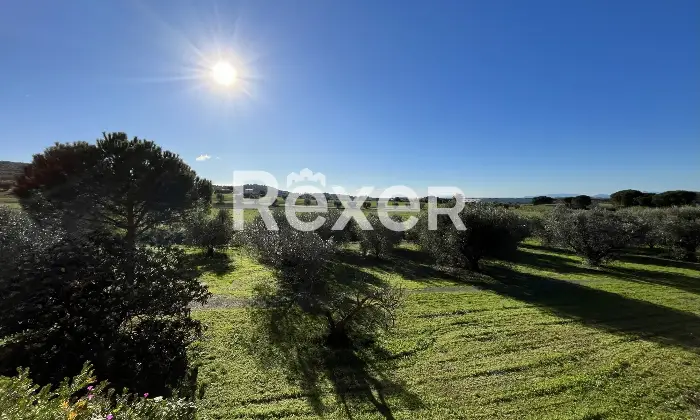 Rexer-Riotorto-Appartamento-con-terrazzo-Borgo-degli-ulivi-Altro