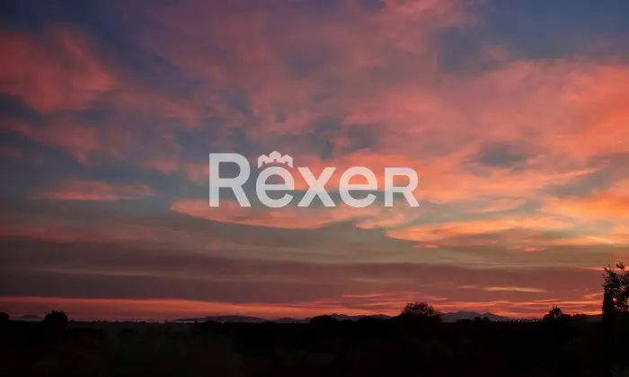 Rexer-Riotorto-Appartamento-con-terrazzo-Borgo-degli-ulivi-Altro