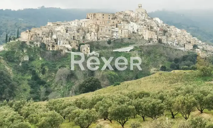 Rexer-Badolato-Due-appartamenti-in-centro-storico-a-badolato-Altro