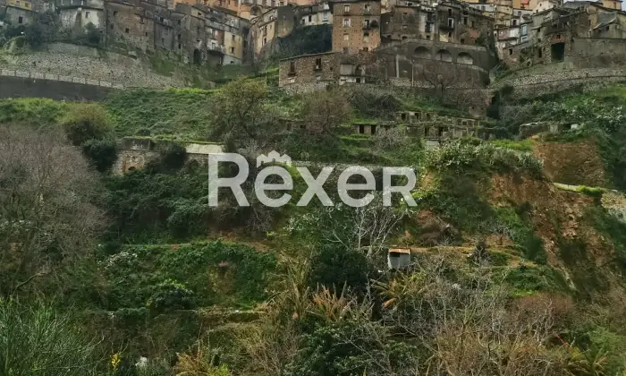 Rexer-Badolato-Due-appartamenti-in-Centro-storico-a-Badolato-Altro