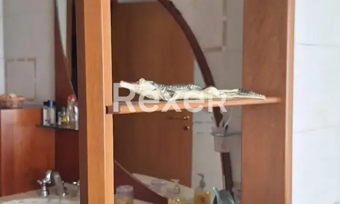 Rexer-Gela-Trilocale-in-vendita-in-Via-Per-Centro-Gela-Altro