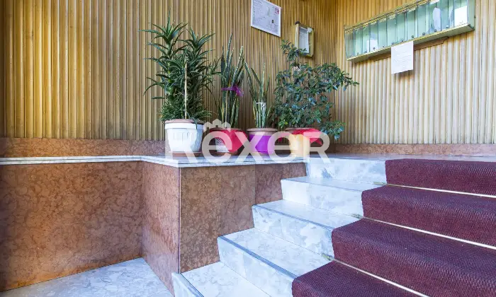 Rexer-Moncalieri-Bilocale-con-box-Altro