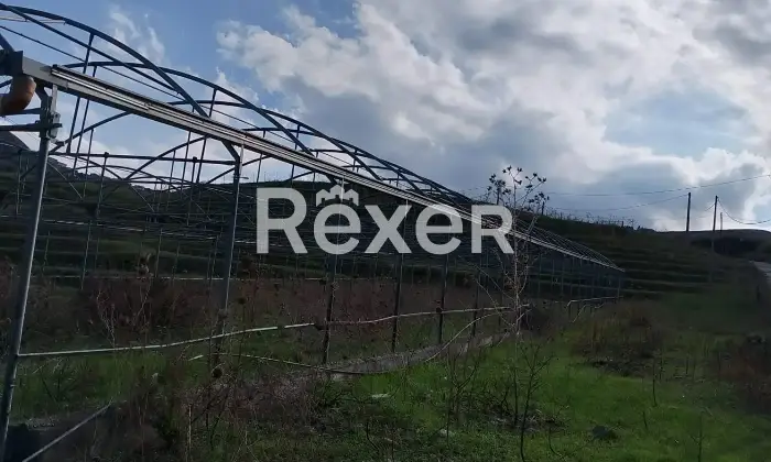 Rexer-Marineo-Terreno-industriale-di-mq-con-accesso-diretto-da-strada-Marineo-Altro