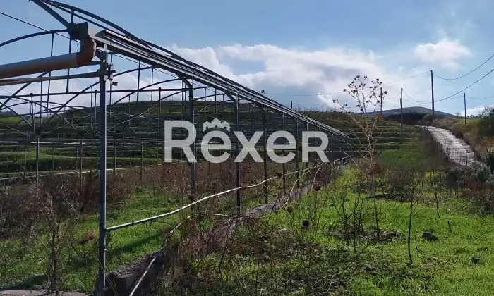 Rexer-Marineo-Terreno-industriale-di-mq-con-accesso-diretto-da-strada-Marineo-Altro