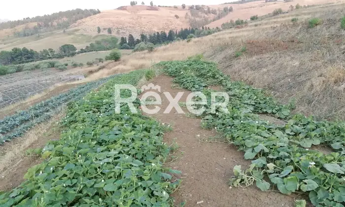 Rexer-Marineo-Terreno-industriale-di-mq-con-accesso-diretto-da-strada-Marineo-Altro