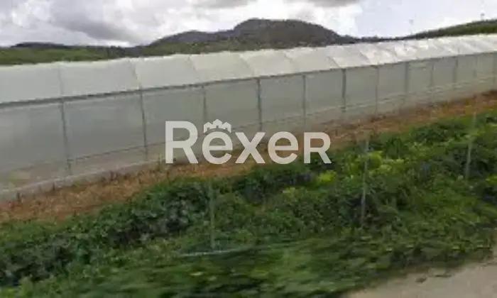 Rexer-Marineo-Terreno-industriale-di-mq-con-accesso-diretto-da-strada-Marineo-Altro