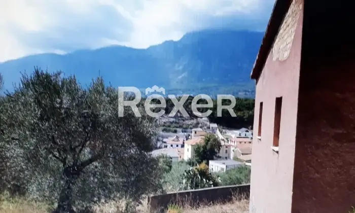 Rexer-Ausonia-Casale-rurale-da-ristrutturare-con-uliveto-Ausonia-FR-Altro